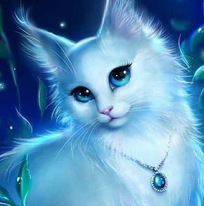 Meet your Posher, Renee